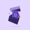 Lumi wallet login